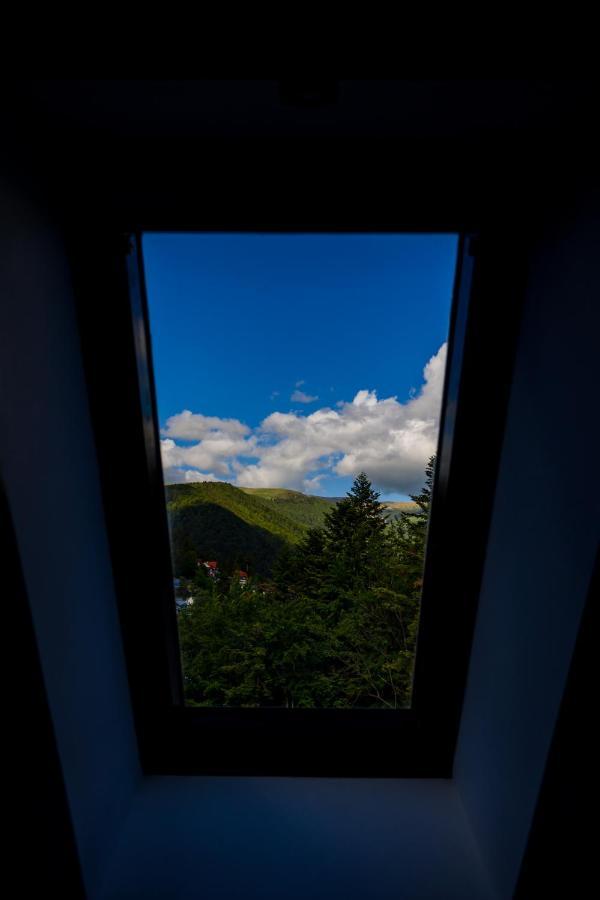 Smart Hotel Sinaia