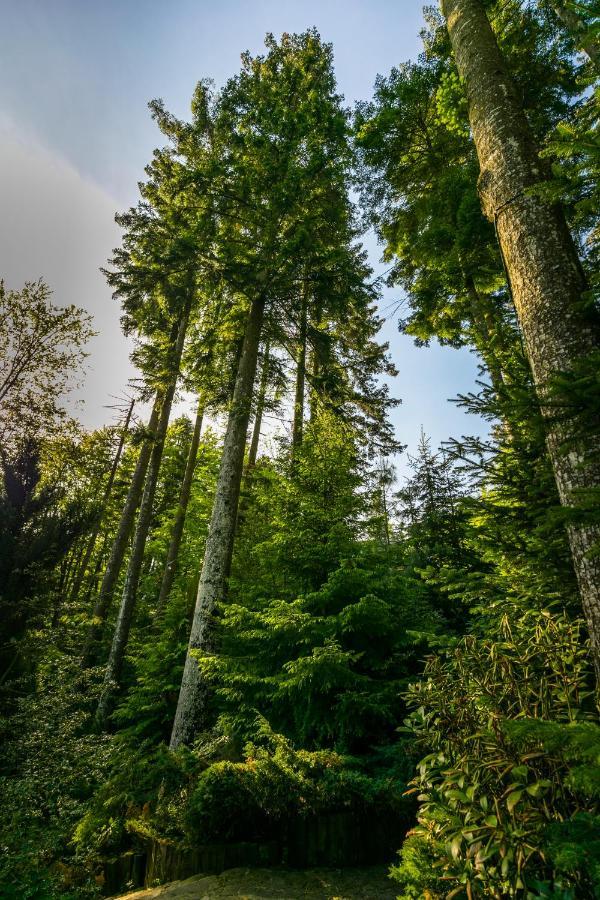 Smart Hotel Sinaia